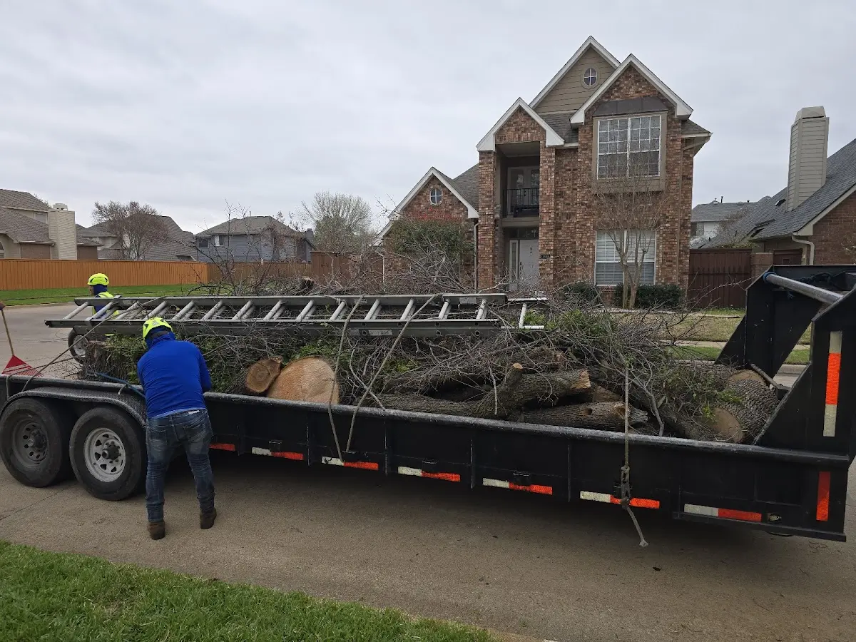 Expert Tree Fertilization with proper safety equipment in West Sand Lake